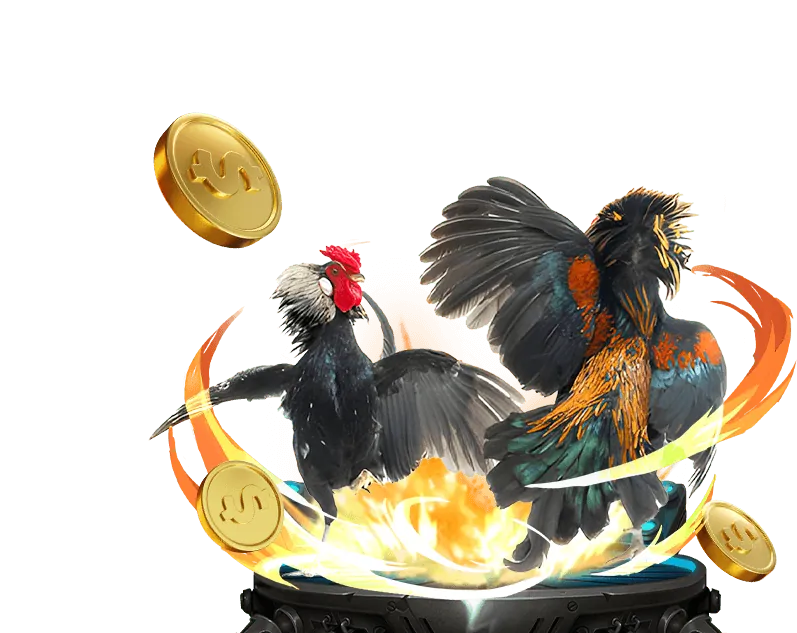 Sân chơi đá gà trực tuyến zom51