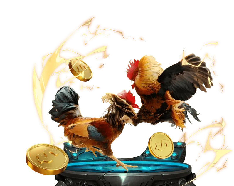 Quy trình tham gia Câu lạc bộ VIP zom51